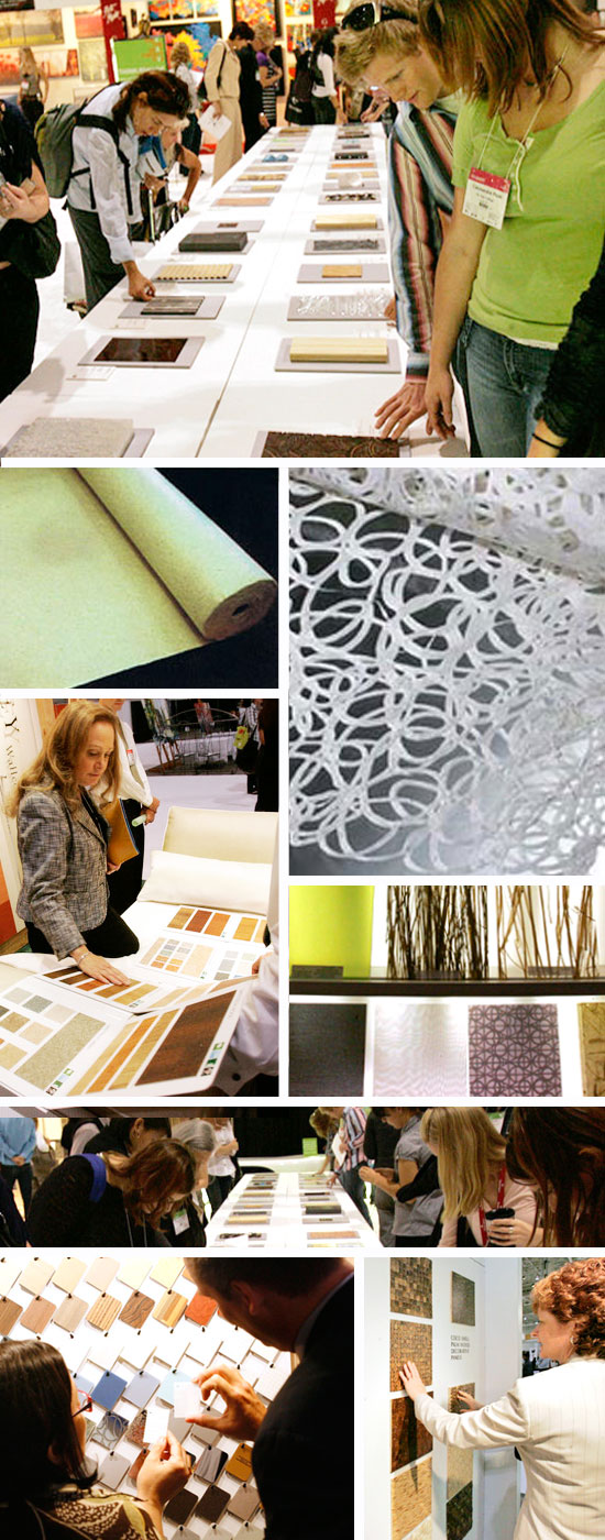 IIDEX2010