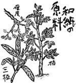 和紙の原料
