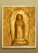 portfolio 905